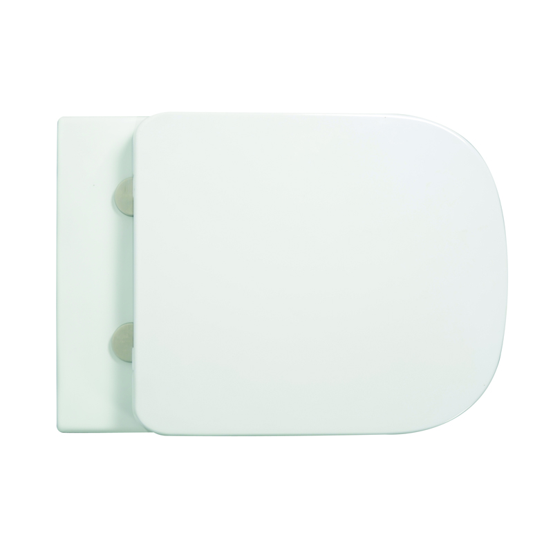 Toilette murale design de luxe - BTW920