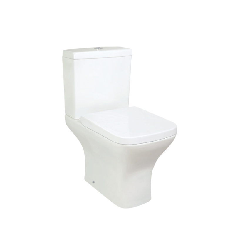 Toilette lavable en céramique de salle de bains en Chine - SD301